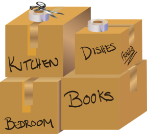packers movers sanokhar