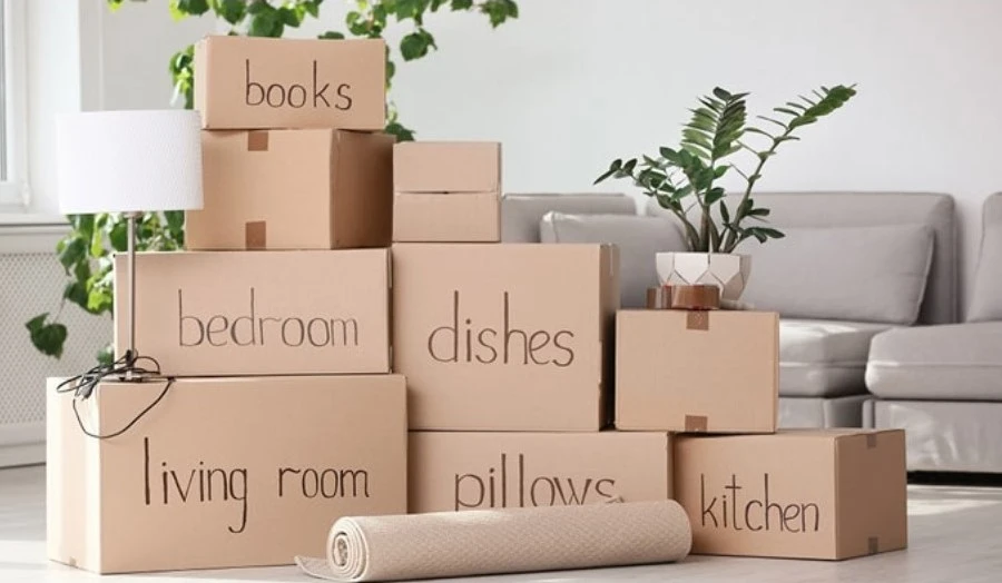 top Packers And Movers